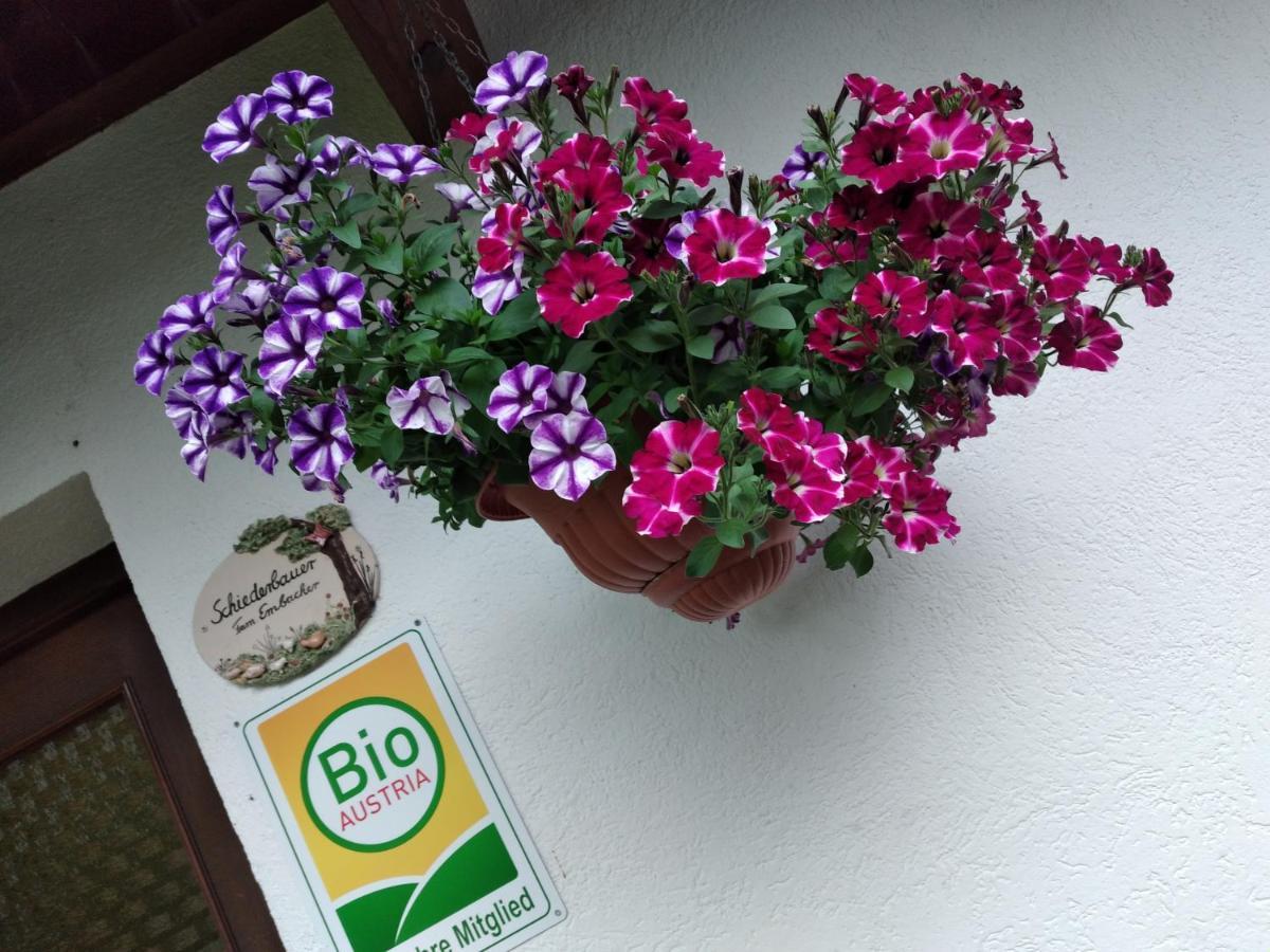 Apartmán Bio-Bauernhof Schiederhof Fusch an der Grossglocknerstrasse Exteriér fotografie